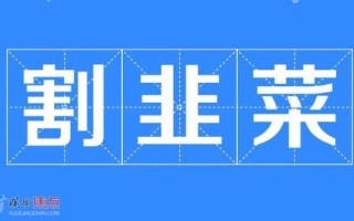割韭菜网络词什么意思
